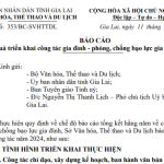 Gialai11.12